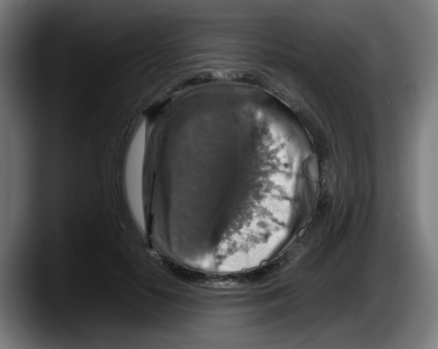 X0000087600650200705251923