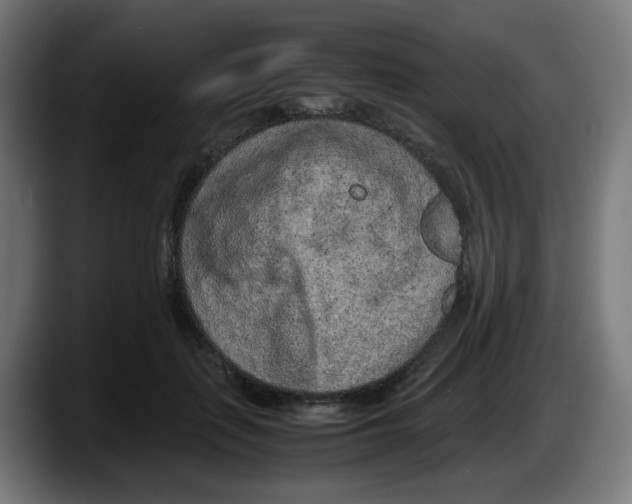 X0000087600651200705251923