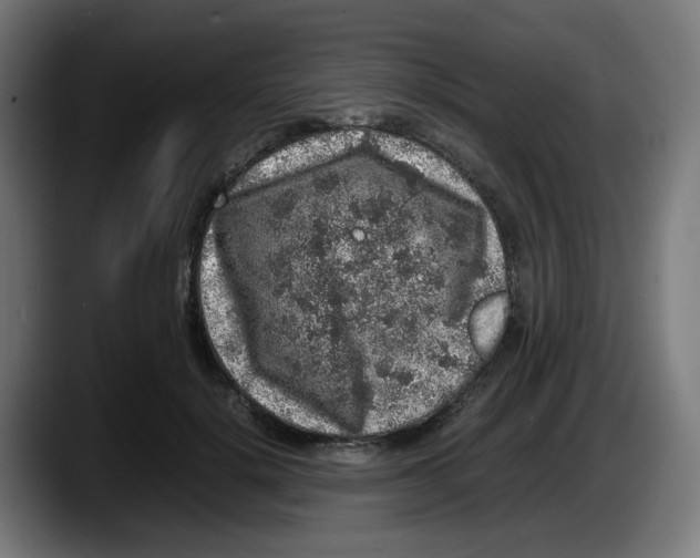 X0000087600652200705251923