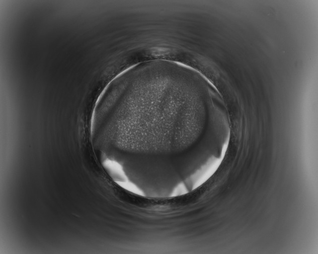 X0000087600653200705251923