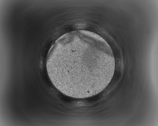 X0000087600655200705251923