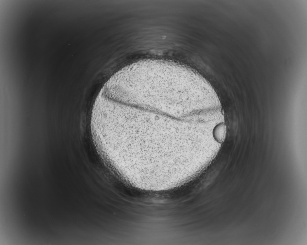 X0000087600656200705251923