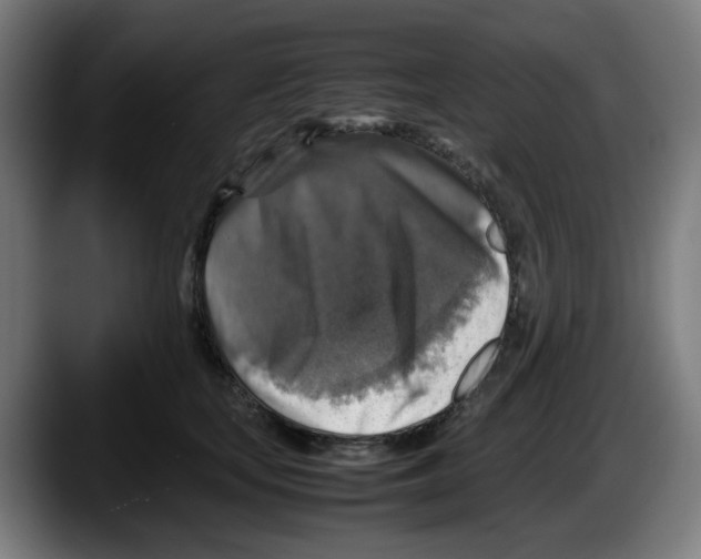 X0000087600659200705251923