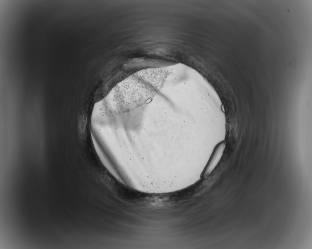 X0000087600660200705251923