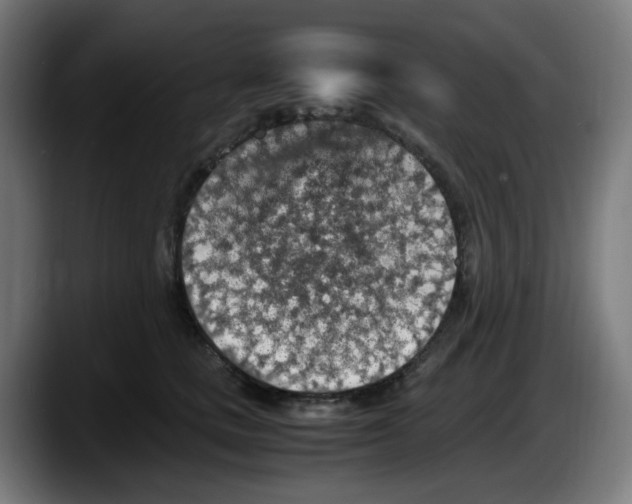 X0000087600661200705251923