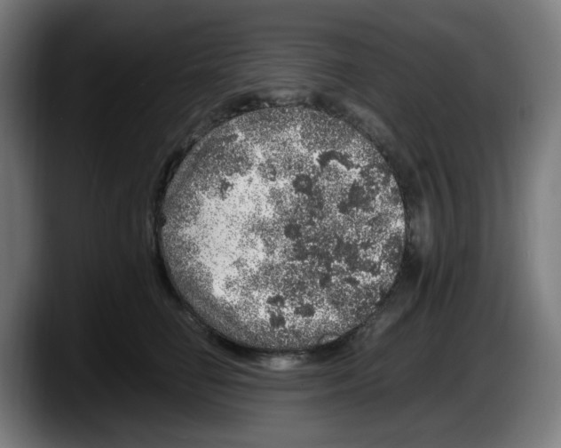 X0000087600662200705251923