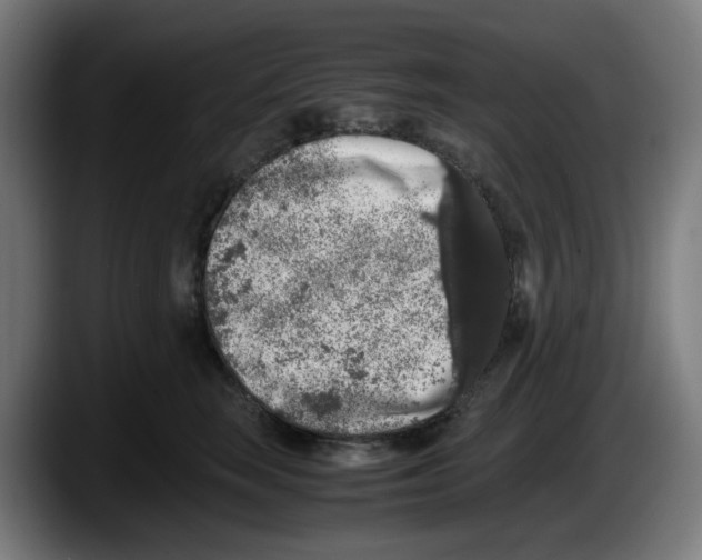 X0000087600663200705251923