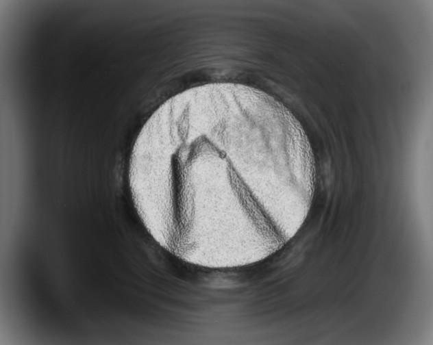 X0000087600664200705251923