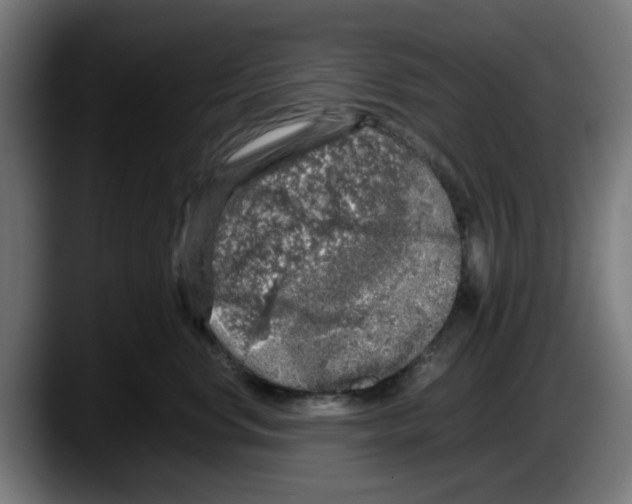 X0000087600668200705251923