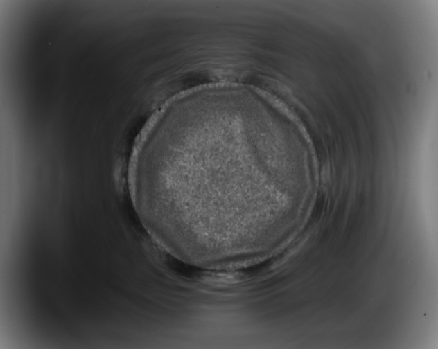 X0000087600671200705251923