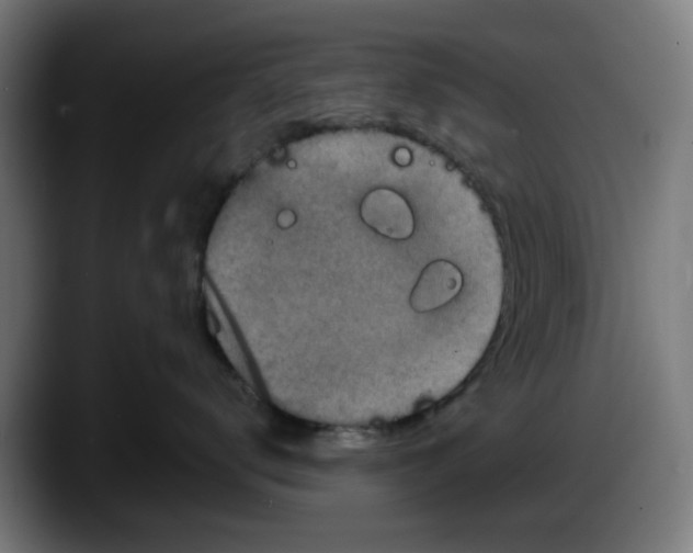 X0000087600672200705251923