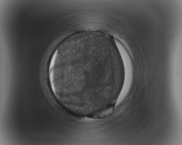 X0000087600673200705251923