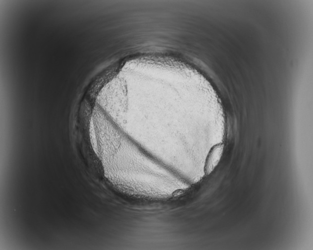 X0000087600675200705251923