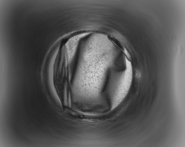 X0000087600676200705251923