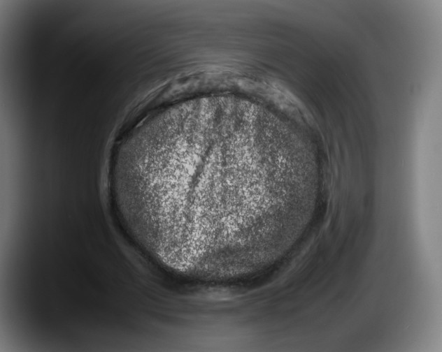 X0000087600677200705251923