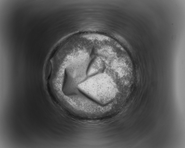 X0000087600680200705251922