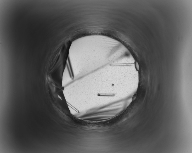 X0000087600681200705251922