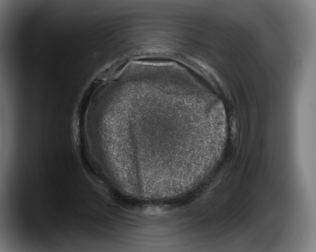 X0000087600684200705251922