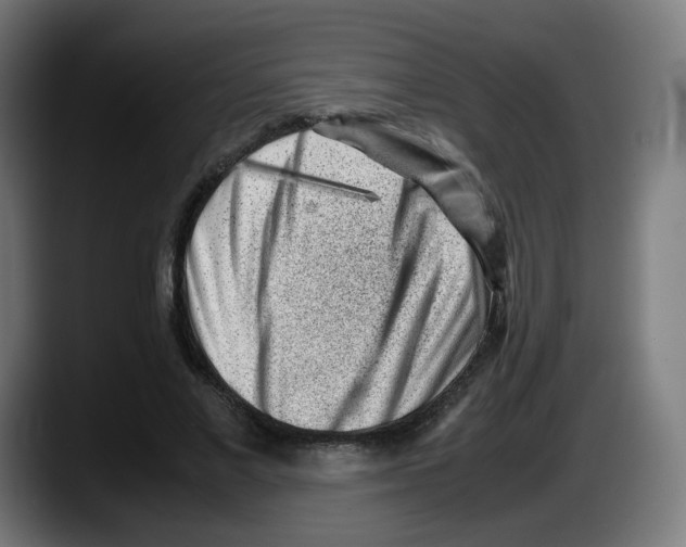 X0000087600685200705251922