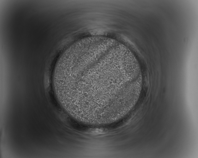 X0000087600687200705251922