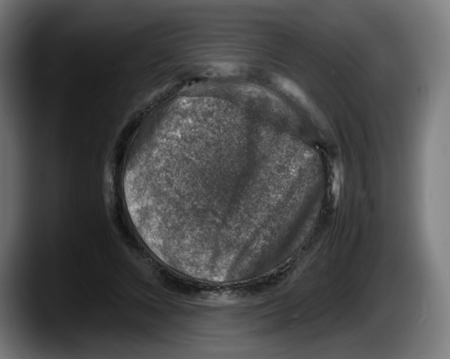 X0000087600688200705251922