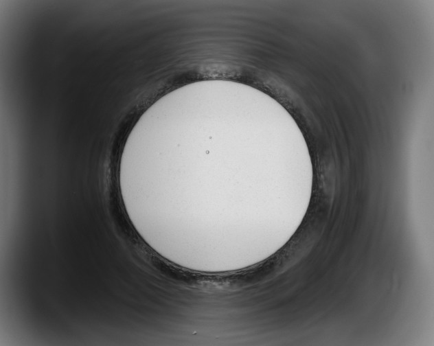 X0000087600690200705251922