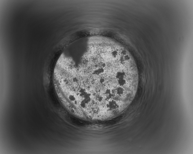 X0000087600691200705251922