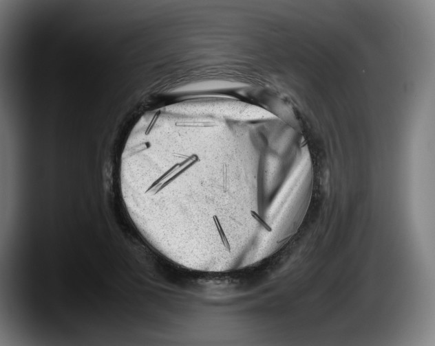 X0000087600693200705251922