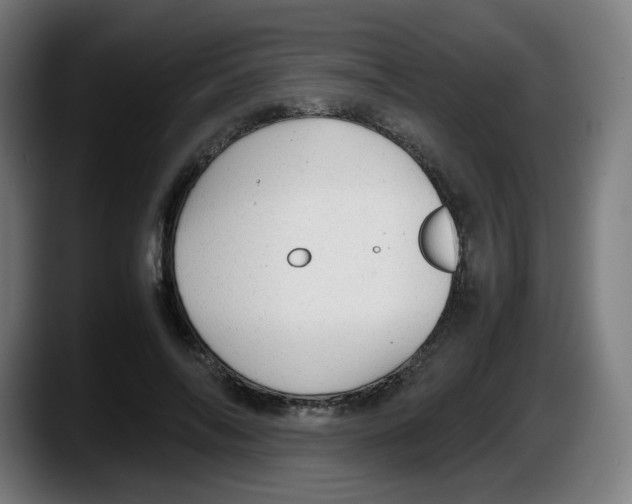 X0000087600694200705251922