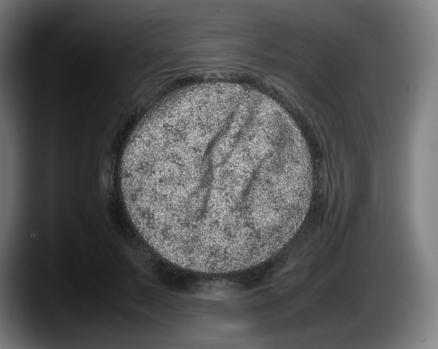 X0000087600695200705251922