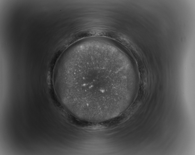 X0000087600696200705251922