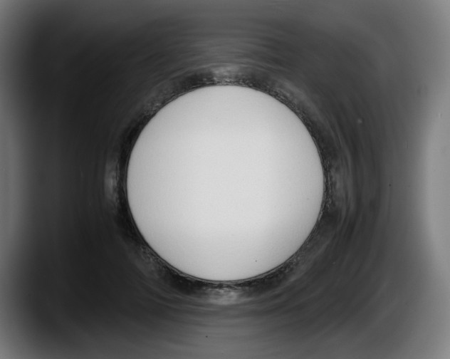 X0000087600698200705251922