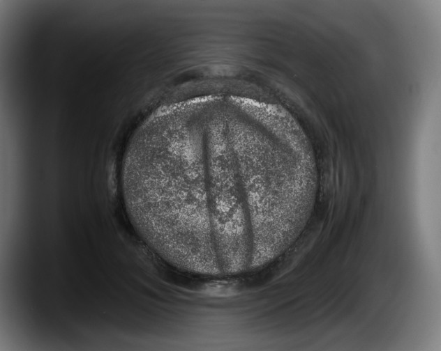 X0000087600700200705251922