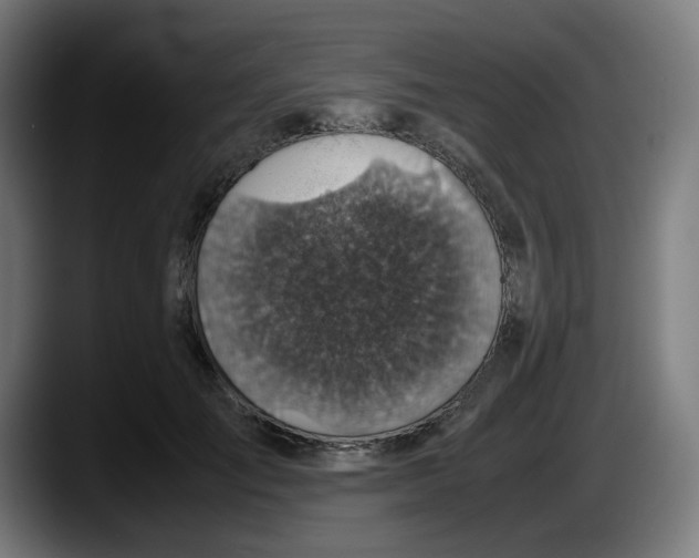 X0000087600701200705251922