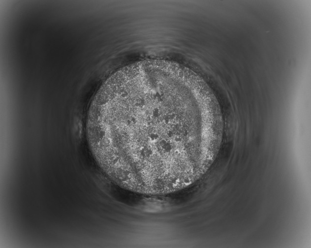 X0000087600703200705251922