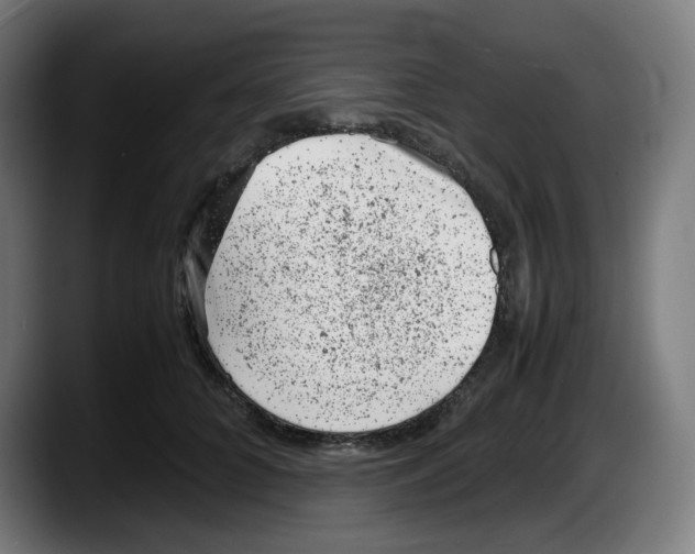 X0000087600704200705251922