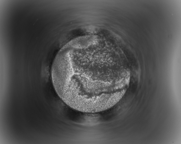 X0000087600707200705251922