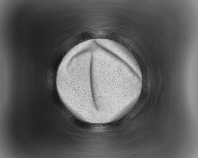 X0000087600710200705251922