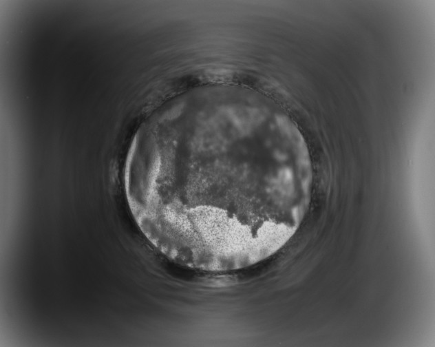 X0000087600711200705251922