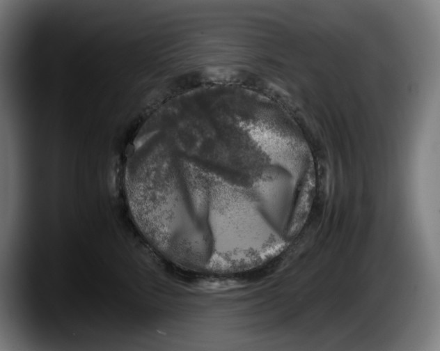 X0000087600712200705251922