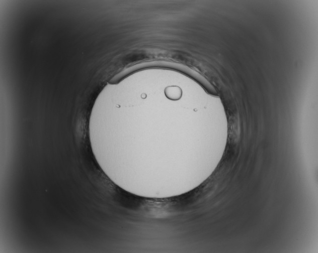 X0000087600713200705251922