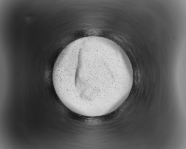 X0000087600714200705251922