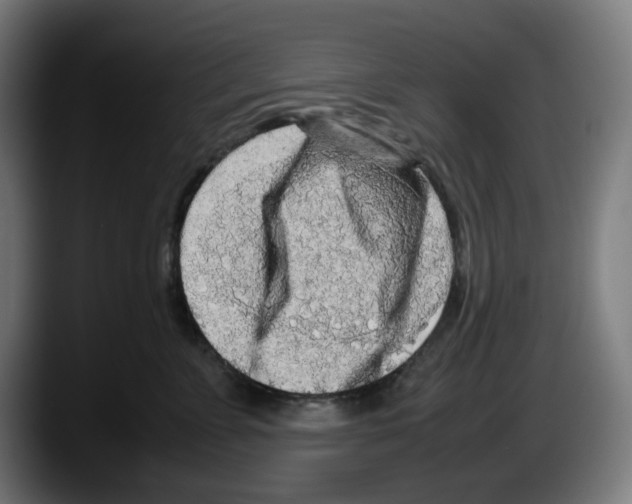 X0000087600715200705251922