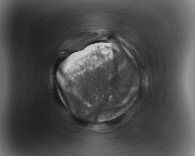 X0000087600716200705251922