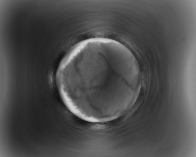 X0000087600718200705251922