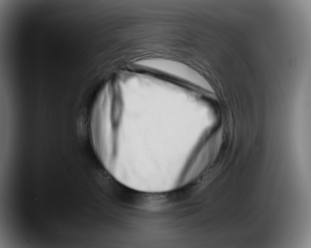 X0000087600719200705251922