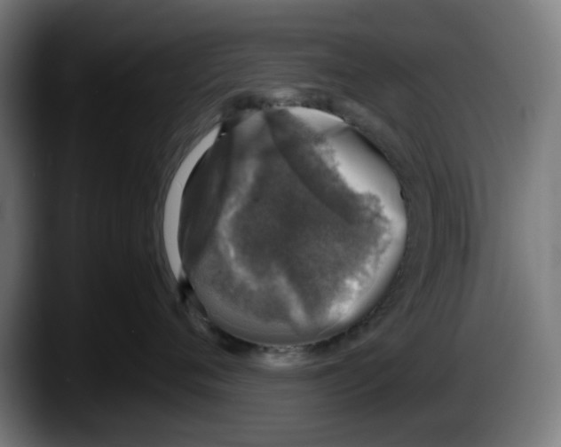 X0000087600720200705251922