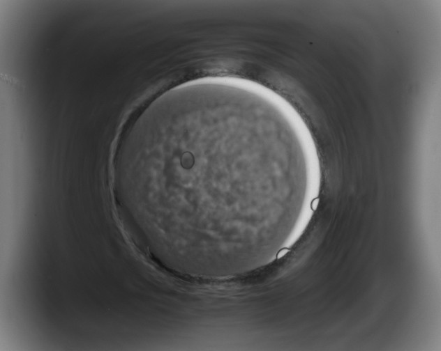 X0000087600721200705251921