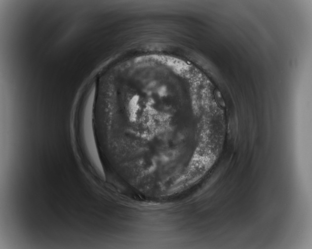 X0000087600722200705251921