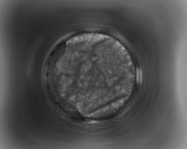 X0000087600723200705251921